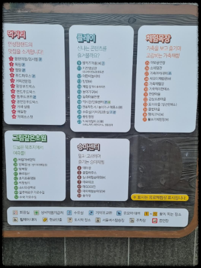 안성팜랜드 핑크뮬리&amp;#44;코스모스 가을 사진여행 추천합니다.