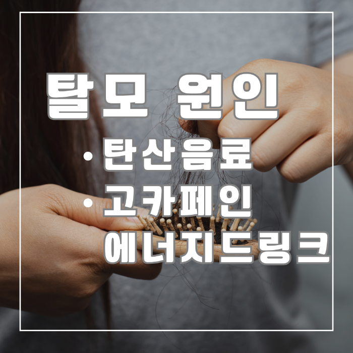 탈모원인