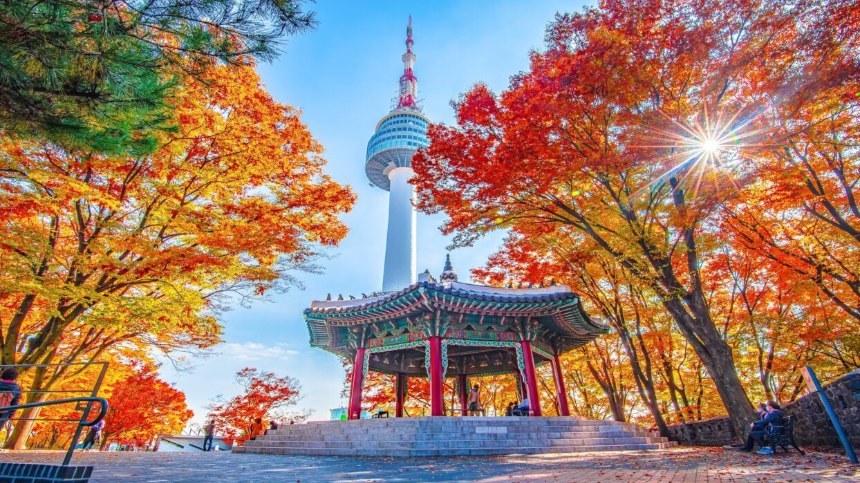 3월에 가볼 만한 국내 여행지 BEST 7 (봄꽃 명소 포함)