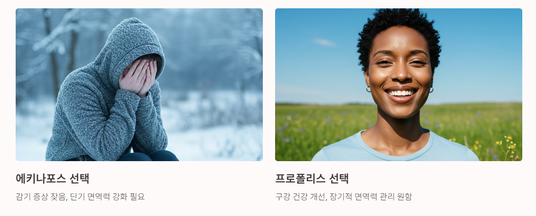 에키나포스, 프로폴리스 선택가이드