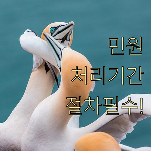 금감원 금융민원 접수부터 처리 기간 ..