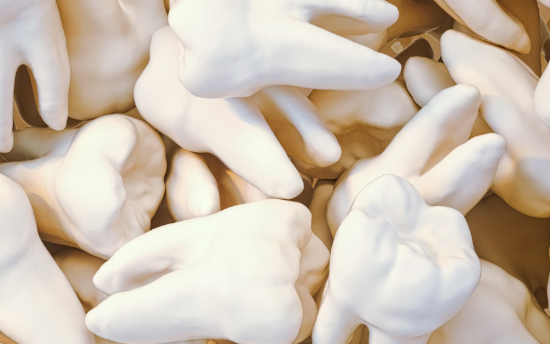 칼슘 영양제 : 치아