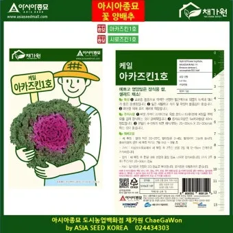 히솝 재배 씨 뿌리기 통풍 관리 허브 차 활용_4