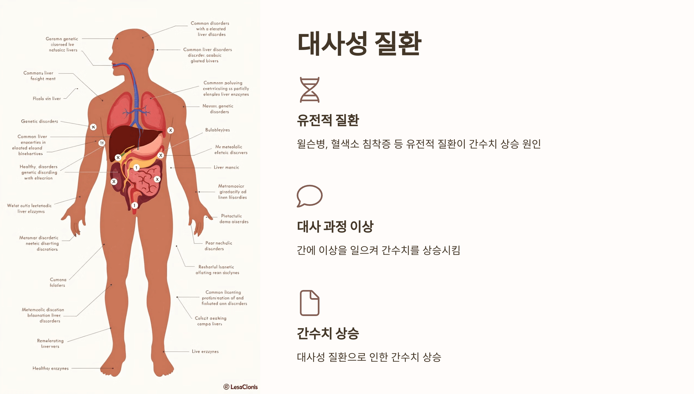 간수치와 관련된 사진입니다.