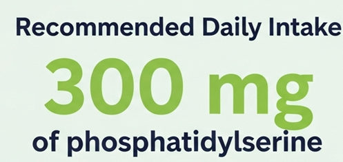 포스파티딜세린 섭취량