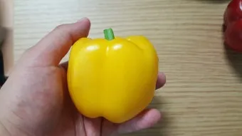 피망 재배 파종 시기 지주 설치 통풍 확보 병해 예방_10