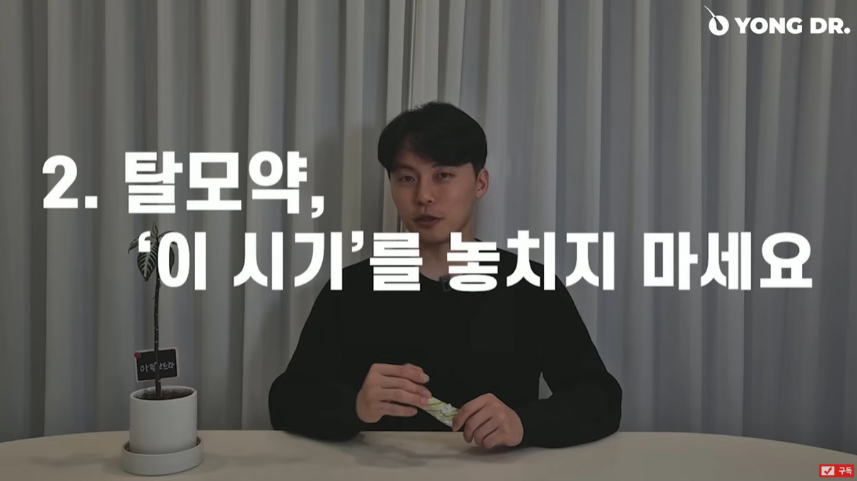 탈모약 복용시기