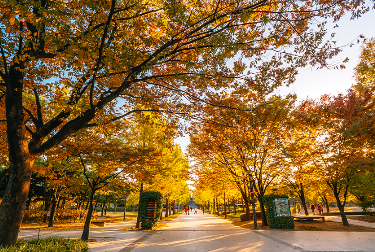 서울숲 단풍놀이