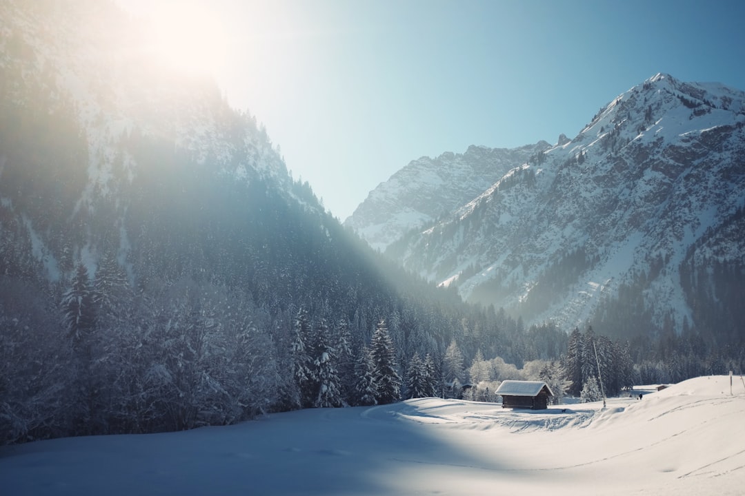 winter