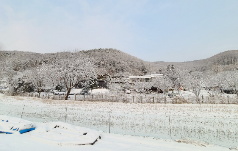 파주 초리골 눈썰매장