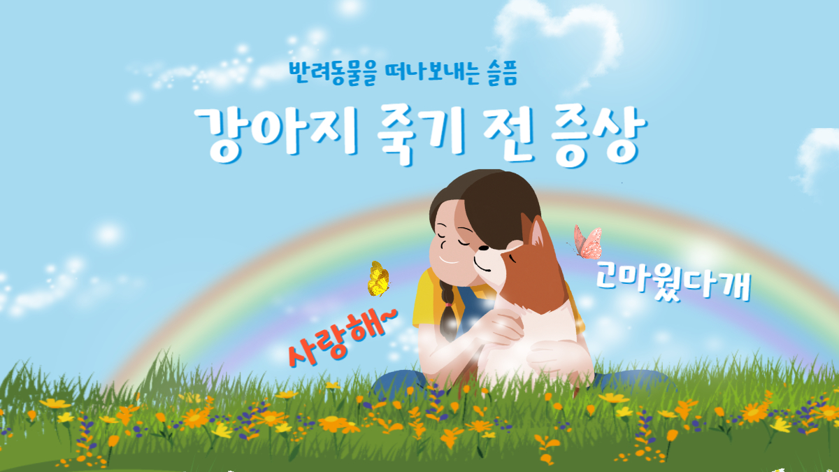 alt=&quot;사랑하는 반려견을 떠나 보내는 준비를 하고 있다&quot;