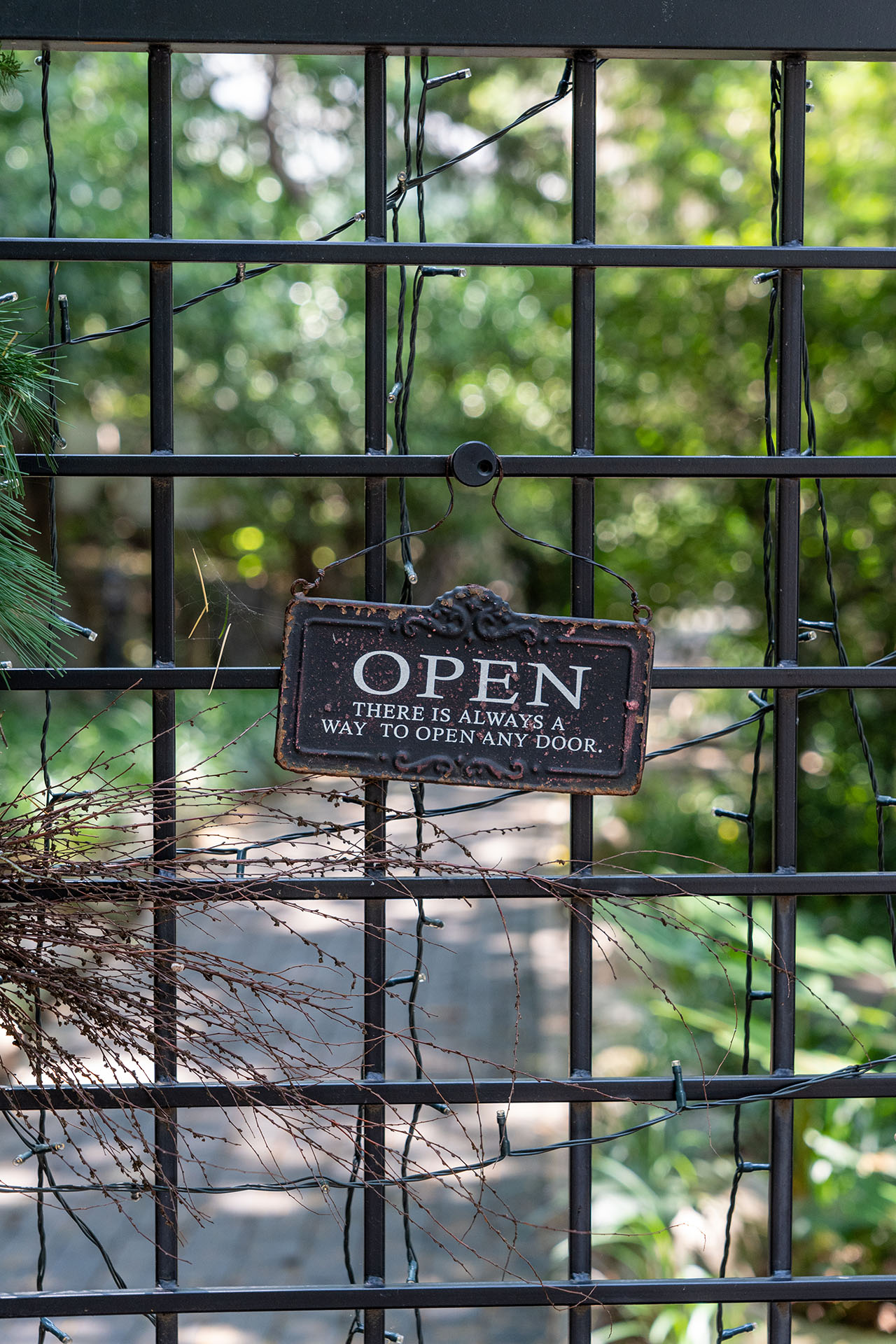 괴정 카페 만디