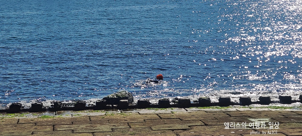 부산 켄트호텔 주변 가볼만한 곳 해변산책 민락수변공원 해녀