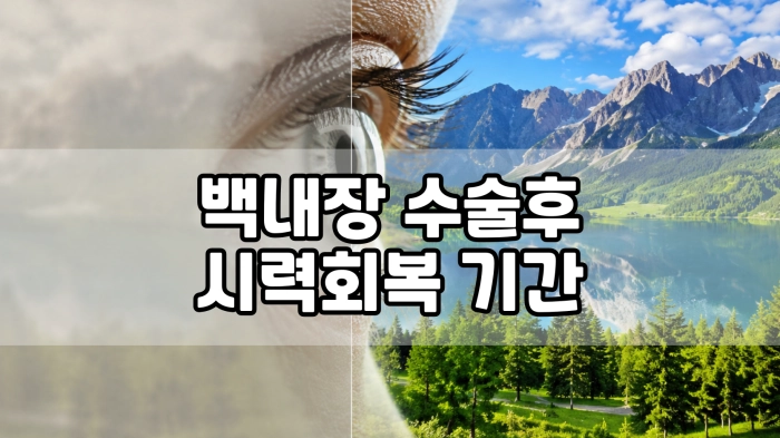 백내장 수술후 시력회복 기간