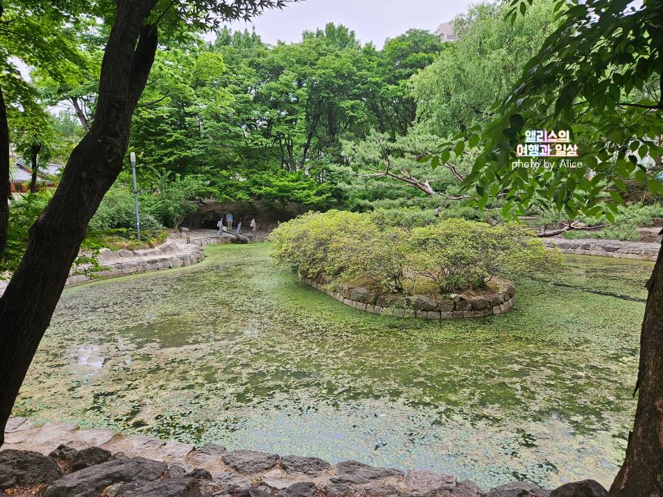 아고다 6월 누구나 9% 할인코드 (~12.31) + 부산 가볼만한곳 무료 입장 추천