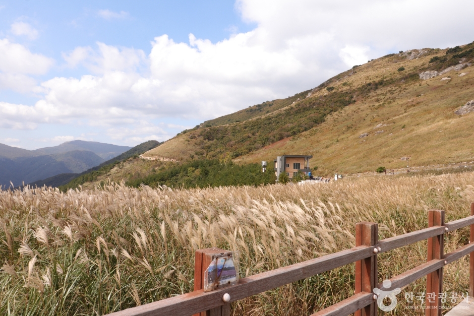 울산시외버스터미널