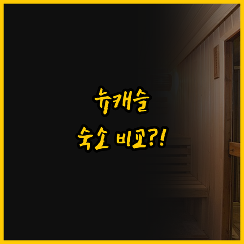 뉴캐슬에서 어디에 묵을까? 인사이드 ..