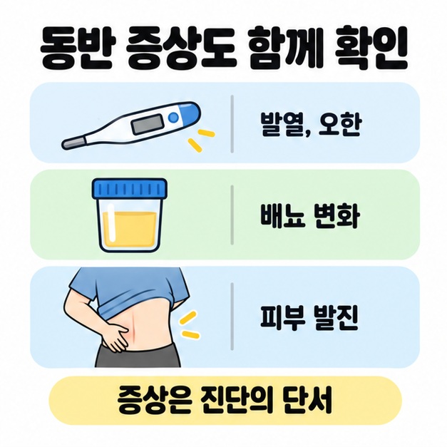 체온계와 소변 검사 용기, 허리 피부를 확인하는 삽화에 발열과 오한, 배뇨 변화, 피부 발진을 연결하고 증상이 진단의 단서임을 안내한 도식