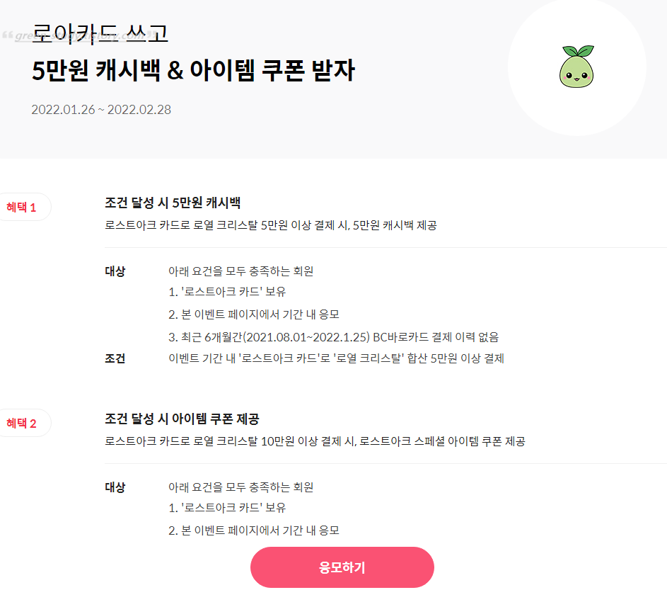 _로아 카드_4.png