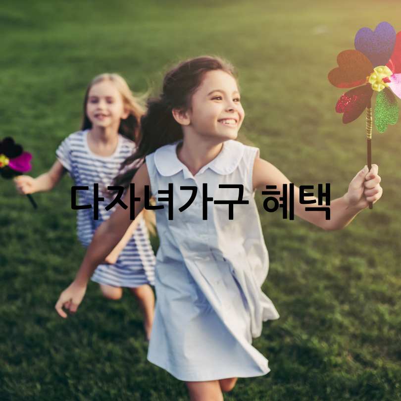 다자녀가구 혜택 : 공항 패스트트랙