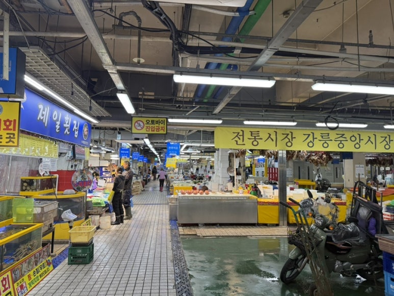 강릉중앙시장 수산물센타