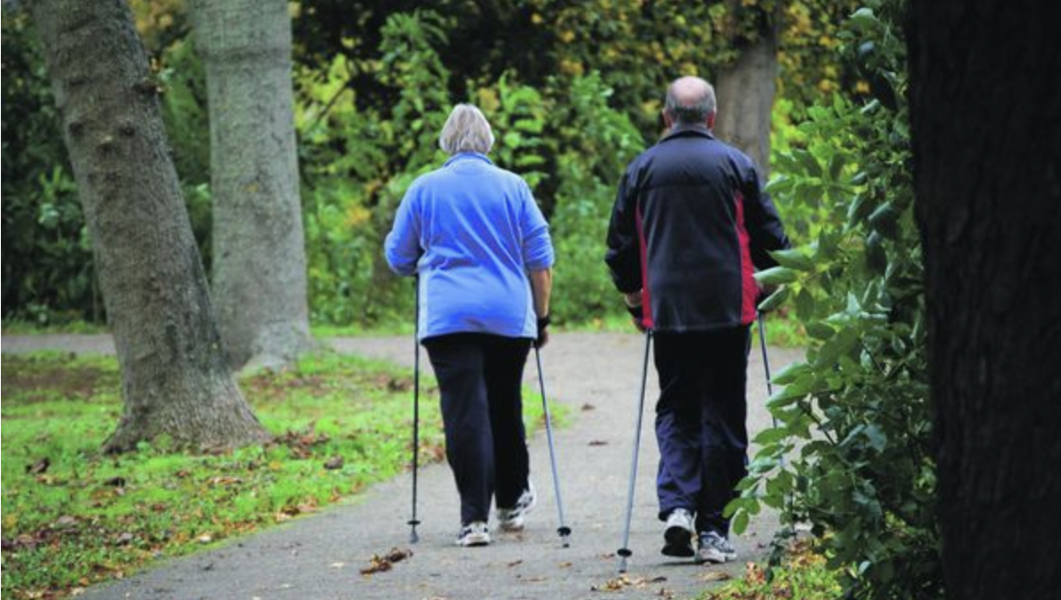 남녀가 지팡이 2개를 이용하여 노르딕 워킹을 하는 뒷모습