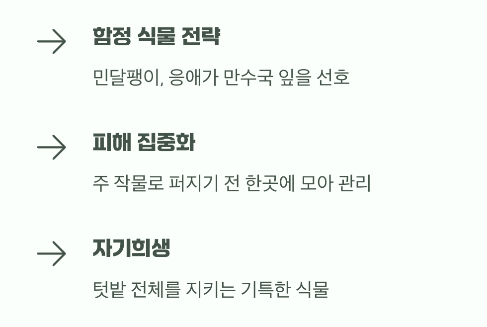해충을 유인하는 똑똑한 희생양