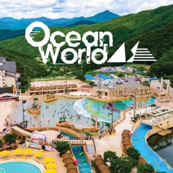 여름방학 수도권 워터파크 추천 BEST 5 (가족·연인과 가볼만한 곳)