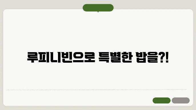 루피니빈 씨앗 병아리 콩 밥짓기