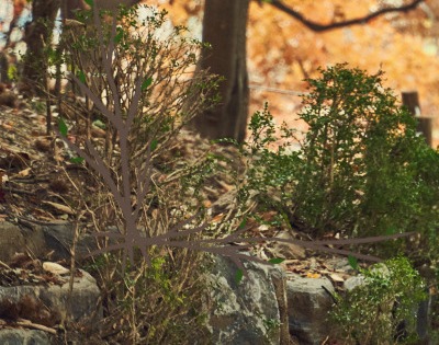 지방간 없애는 방법