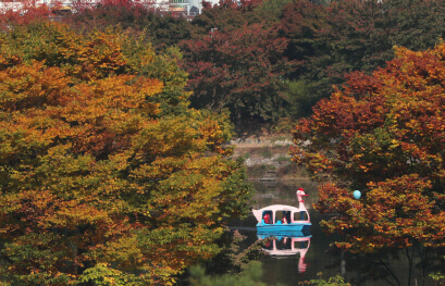 호수와 단풍이 만나는 순간 : 전국 가을 포토 명소 총정리_공지천 호수공원