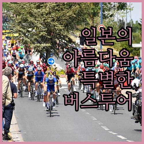 일본의 아름다움을 만끽할 수 있는 특
