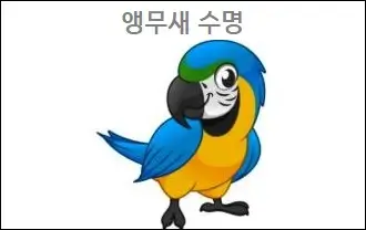 앵무새 수명