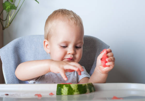 자기주도 이유식