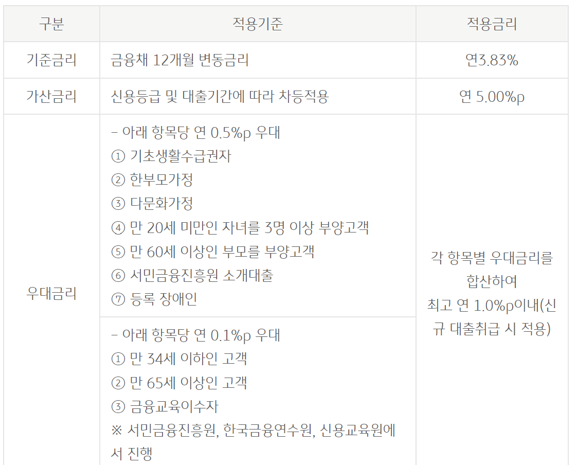 국민은행 새희망홀씨대출
