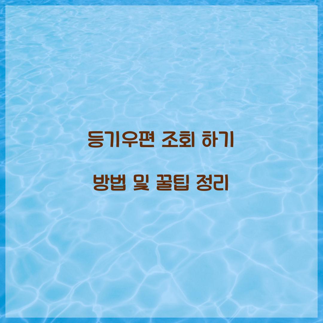 등기우편 조회 하기