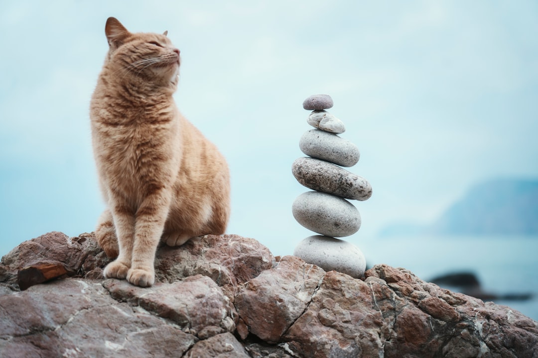 Rebalancing