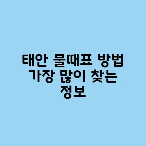 태안 물때표 방법 가장 많이 찾는 정보