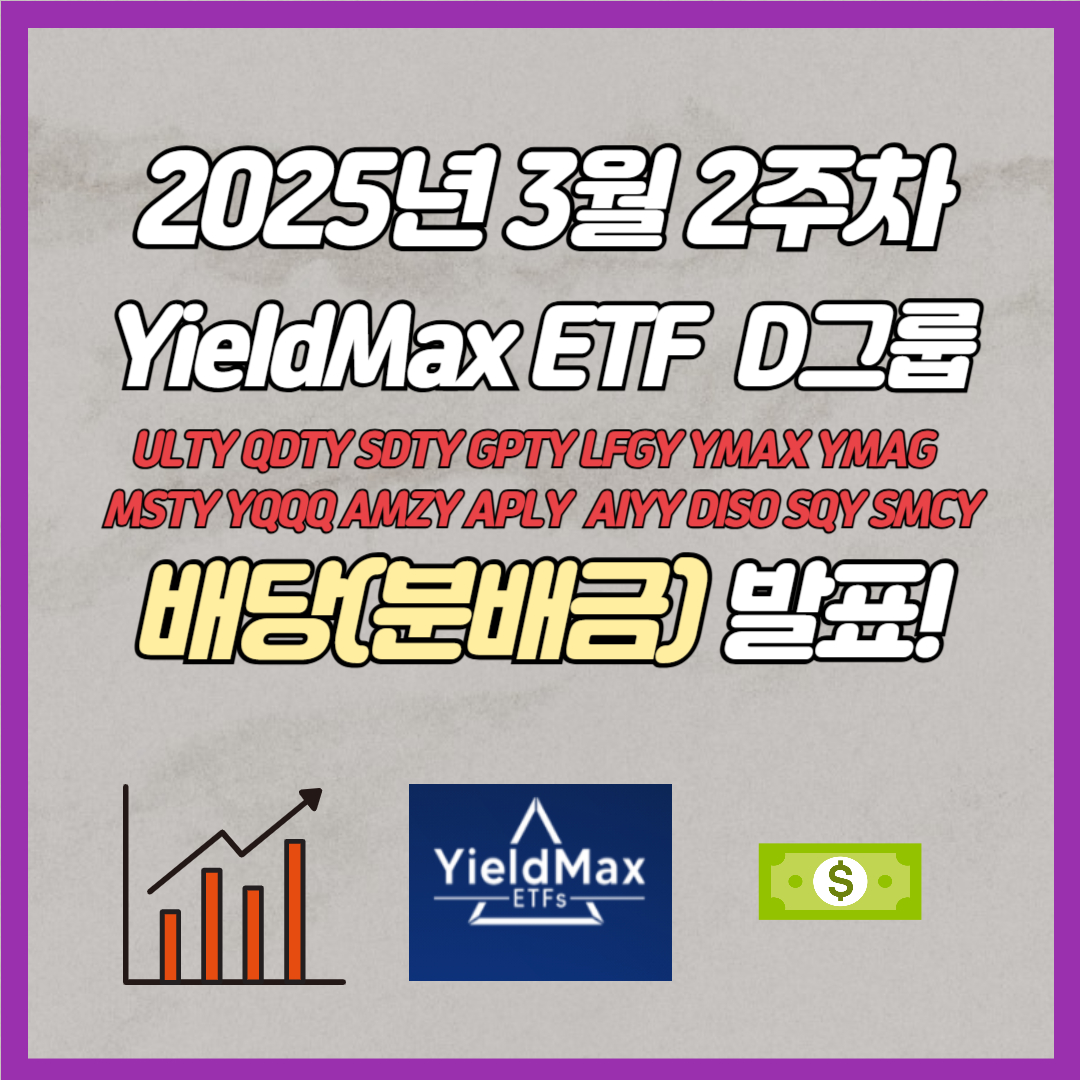 3월 2주차 일드맥스 D그룹