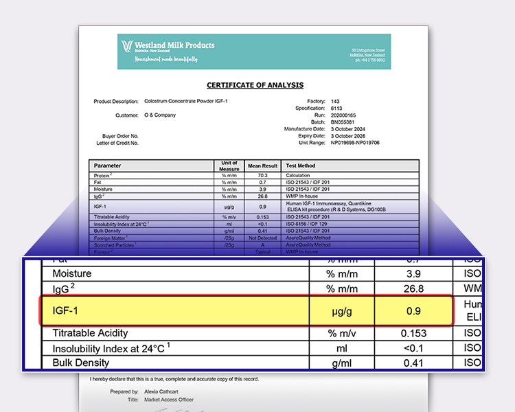 제품 주요 특징 인포그래픽