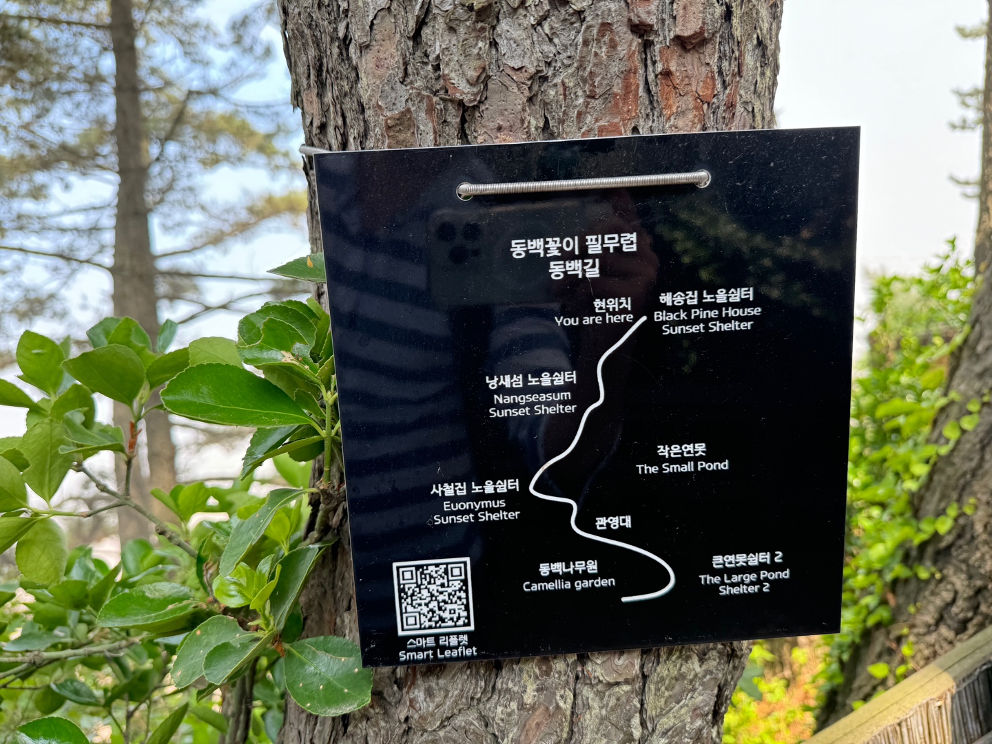 천리포수목원
