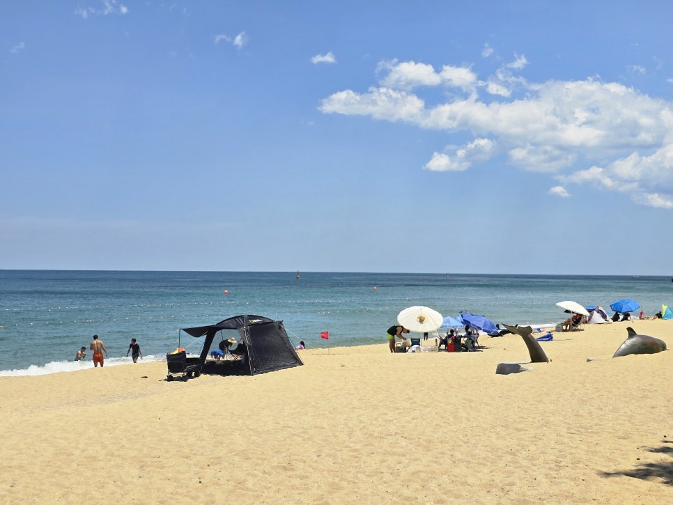 국내 해수욕장 개장일