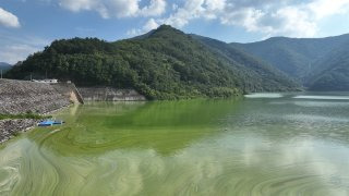 강릉시 도암댐 방류수 허용