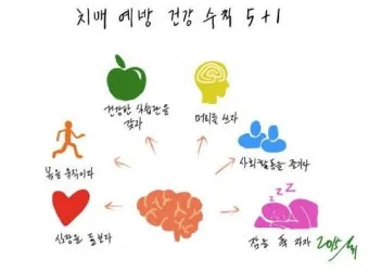 치매 예방 운동 뇌건강 걷기 퍼즐 독서 습관_21