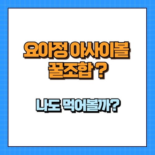 요아정아사이볼 꿀조합은? 건강한 디저트! 칼로리 걱정은 NO!