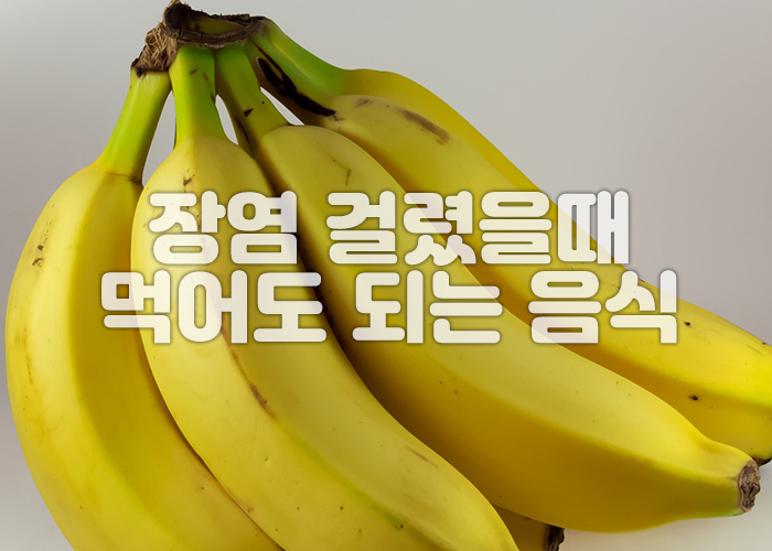 바나나 이미지