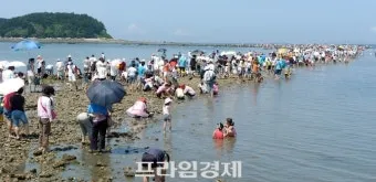 보령 대천 해수욕장 여행코스 여름 해변 명소와 맛집 정리_8