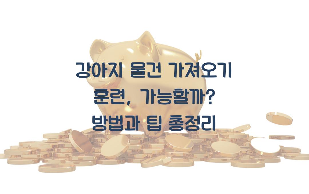 강아지 물건 가져오기 훈련, 가능할까?
