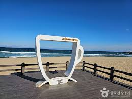 강릉 커피거리 + 테라로사 본점 사진