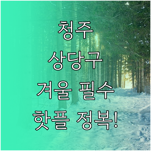 겨울철 청주 상당구 나들이 장소 추천..